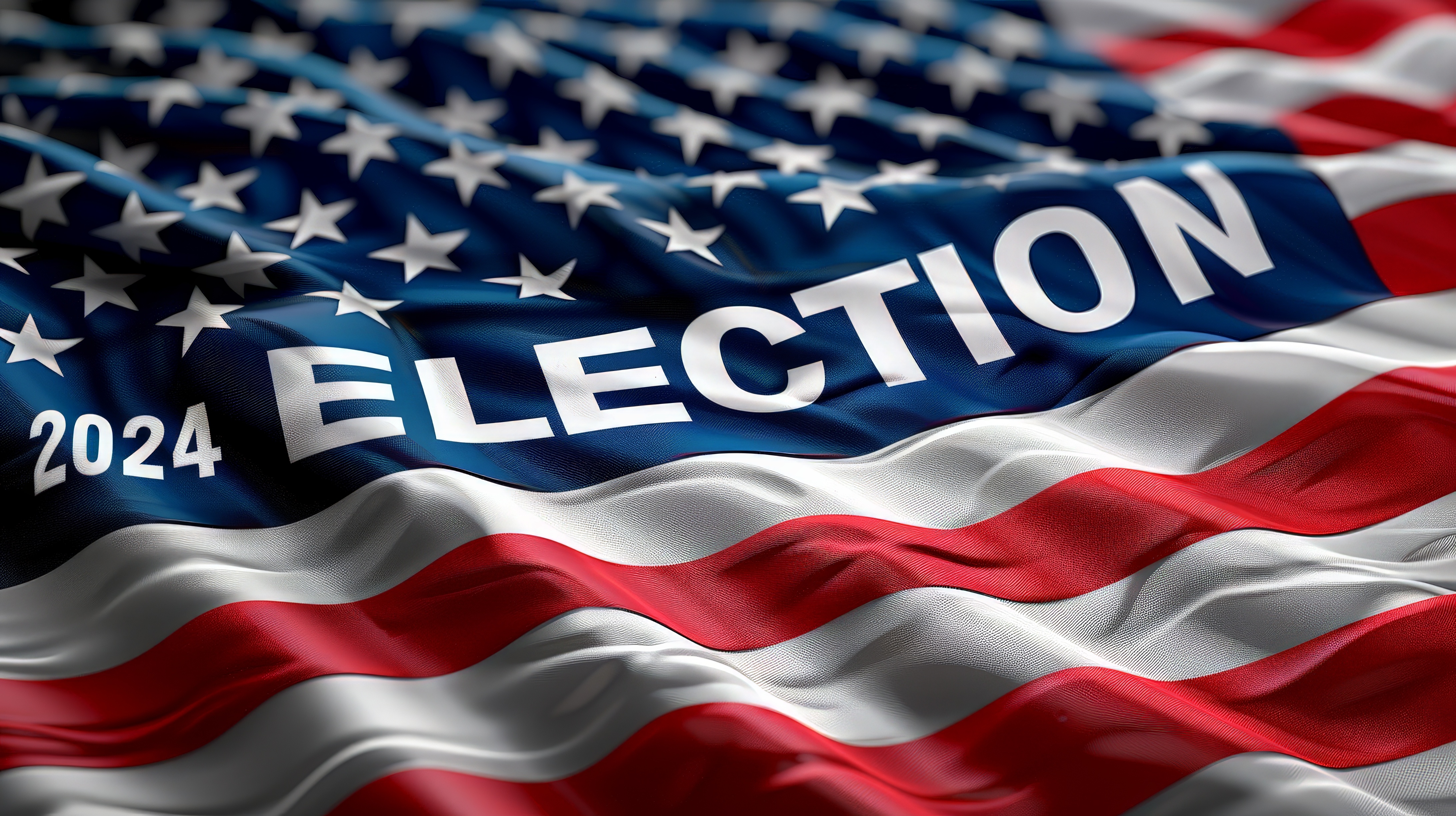 picture of fabric US Flag with words 2024 election