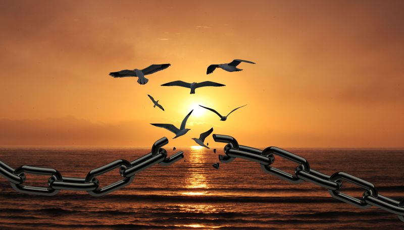 hands in handcuffs with broken chains with birds flying into the sunset